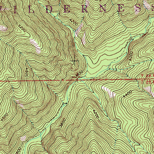 Topographic Map of Long Meadow Creek, ID