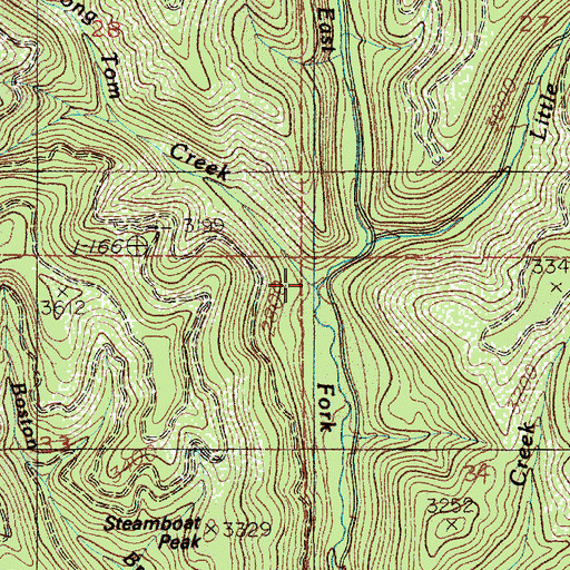 Topographic Map of Long Tom Creek, ID