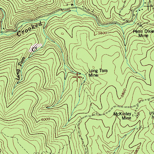 Topographic Map of Long Tom Mine, ID