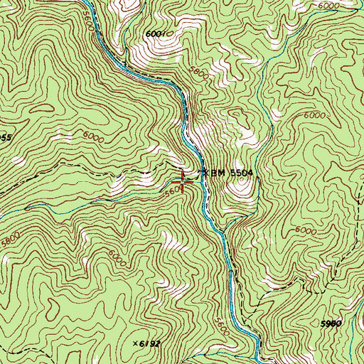 Topographic Map of Loon Creek, ID
