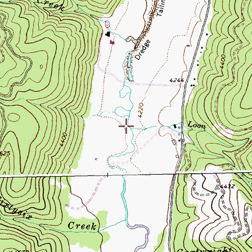 Topographic Map of Loon Creek, ID