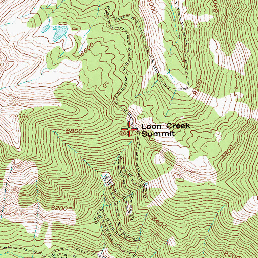 Topographic Map of Loon Creek Summit, ID