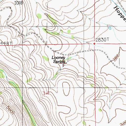 Topographic Map of Looney Spring, ID