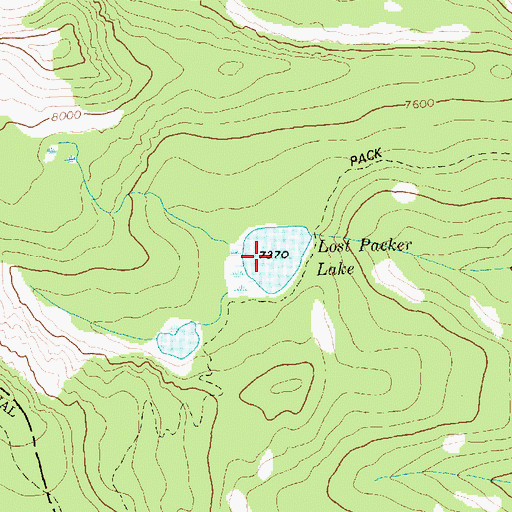 Topographic Map of Lost Packer Lake, ID