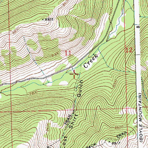 Topographic Map of Lost Shirt Gulch, ID