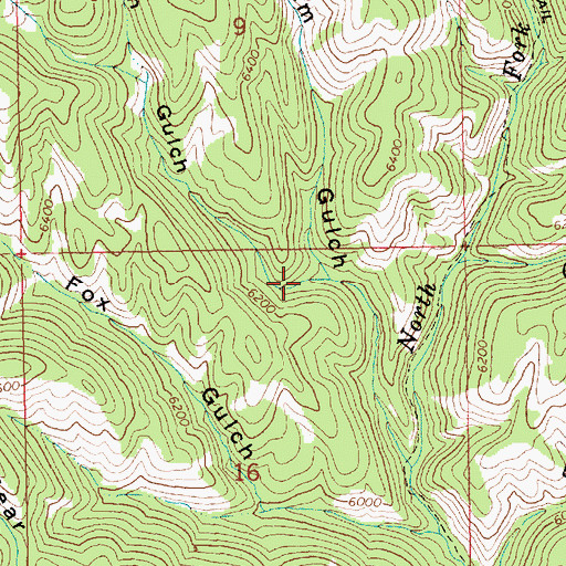 Topographic Map of Lotah Gulch, ID