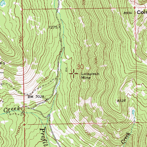 Topographic Map of Lotspiech Mine, ID