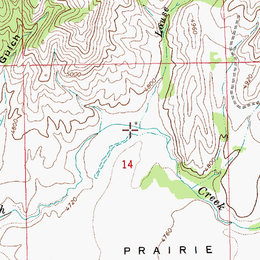 Topographic Map of Louse Creek, ID