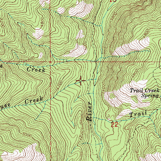 Topographic Map of Louse Creek, ID