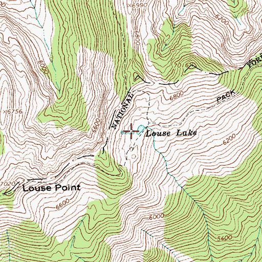 Topographic Map of Louse Lake, ID