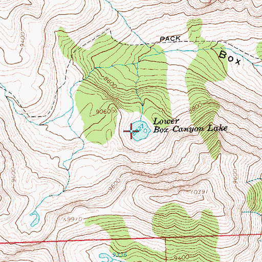 Topographic Map of Lower Box Canyon Lake, ID