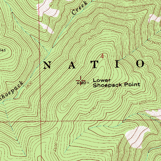 Topographic Map of Lower Shoepack Point, ID