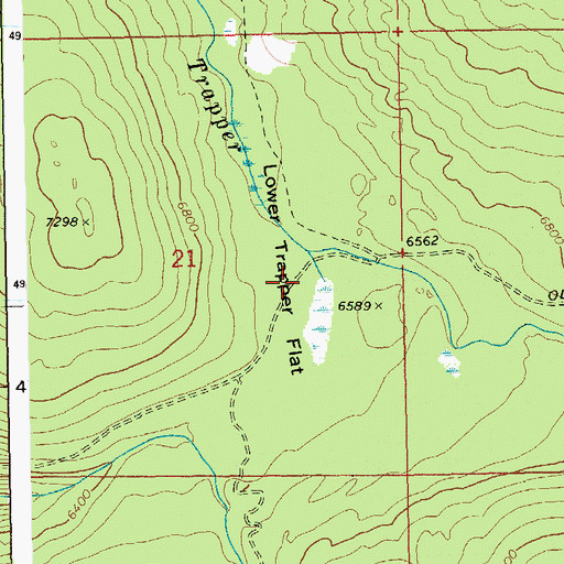 Topographic Map of Lower Trapper Flat, ID
