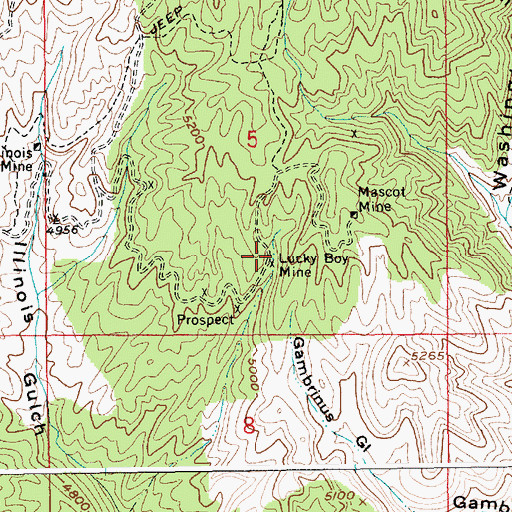 Topographic Map of Lucky Boy Mine, ID