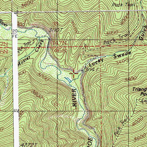 Topographic Map of Lucky Swede Gulch, ID