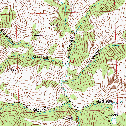 Topographic Map of Lupine Gulch, ID