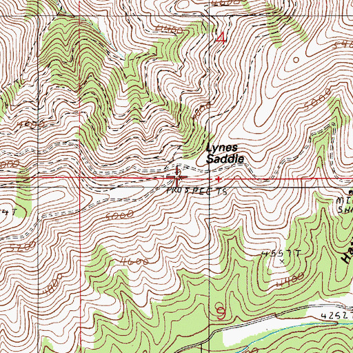 Topographic Map of Lynes Saddle, ID