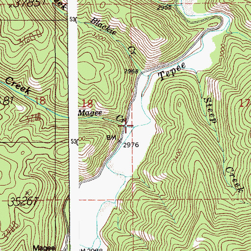 Topographic Map of Magee Creek, ID