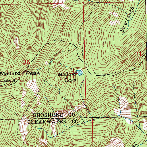 Topographic Map of Mallard Lake, ID