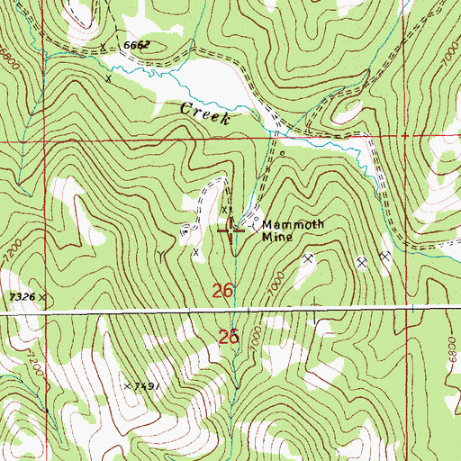 Topographic Map of Mammoth Mine, ID