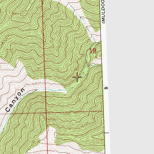 Topographic Map of Mandolin Creek, ID