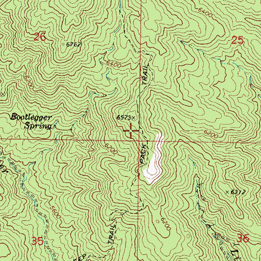 Topographic Map of Mount Francis Trail Forty Eight, AZ