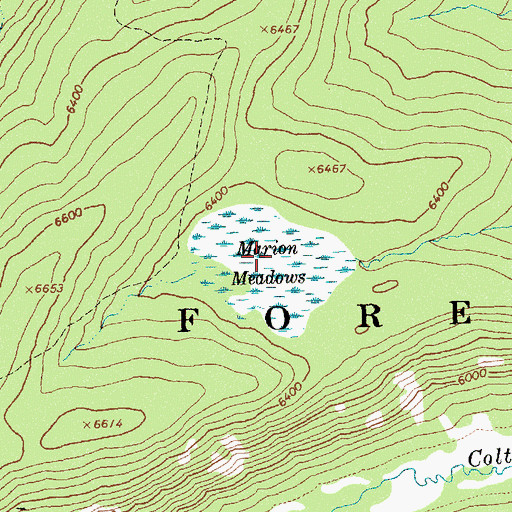 Topographic Map of Marion Meadows, ID