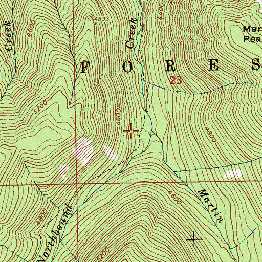 Topographic Map of Martin Creek, ID