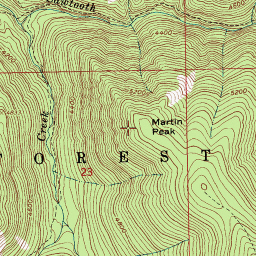 Topographic Map of Martin Peak, ID