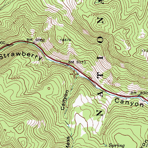 Topographic Map of Mass Canyon, ID