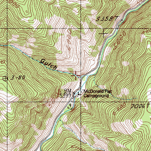 Topographic Map of McDonald Gulch, ID