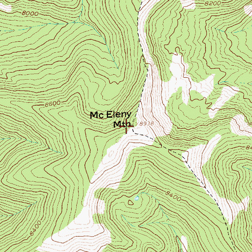 Topographic Map of McEleny Mountain, ID