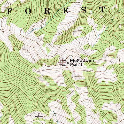 Topographic Map of McFadden Point, ID