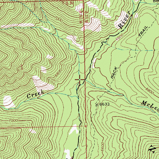 Topographic Map of McLeod Creek, ID