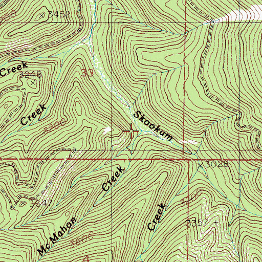 Topographic Map of McMahon Creek, ID