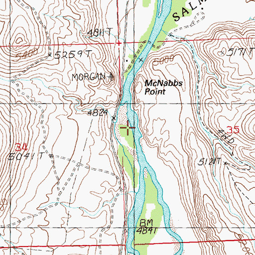 Topographic Map of McNabbs Point, ID