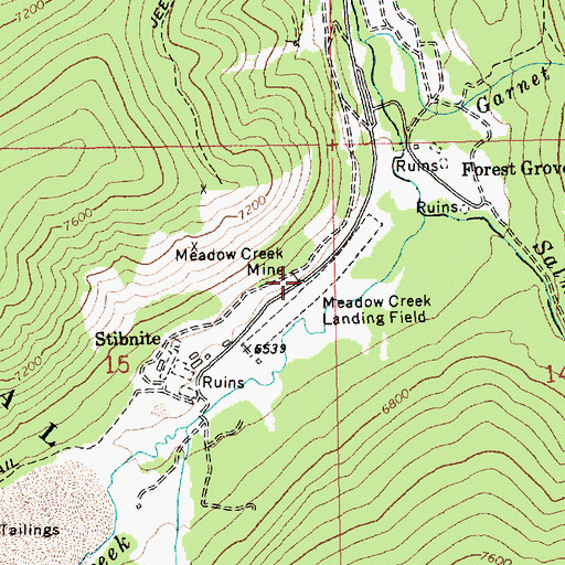 Topographic Map of Meadow Creek Mine, ID