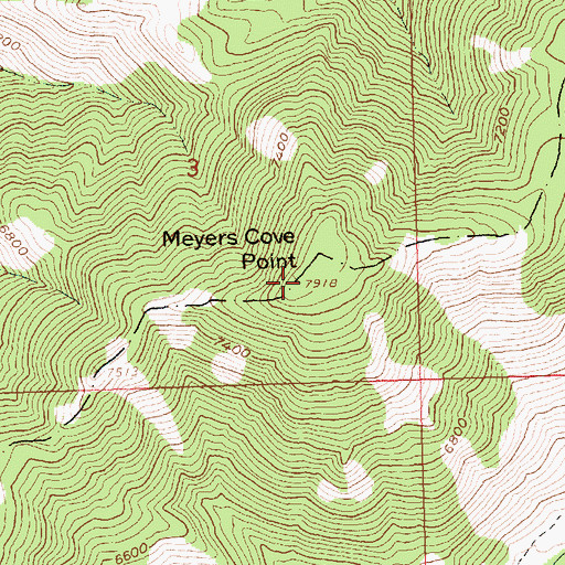 Topographic Map of Meyers Cove Point, ID