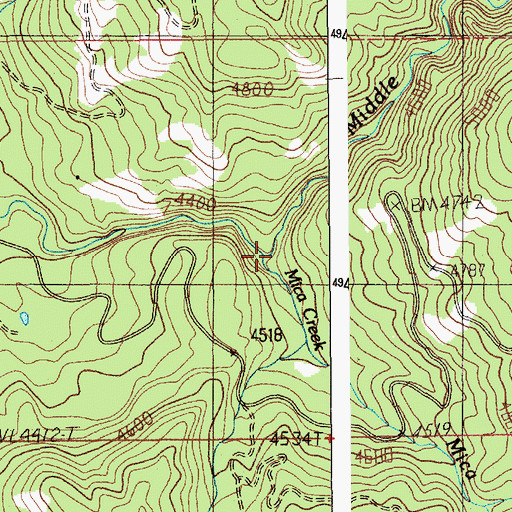 Topographic Map of Mica Creek, ID