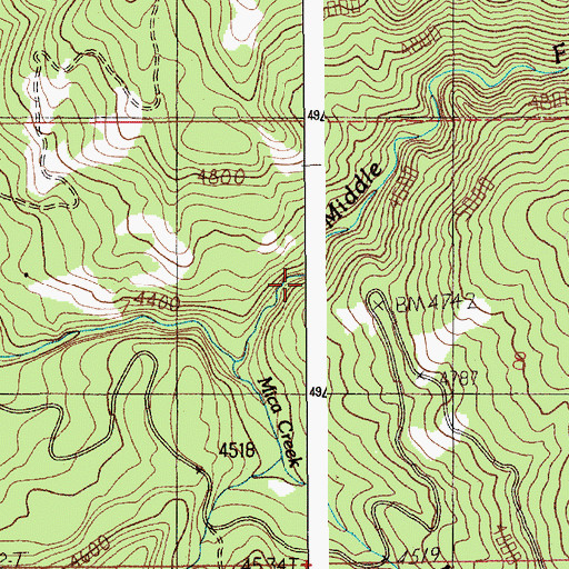 Topographic Map of Mica Mine, ID