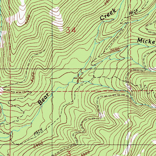 Topographic Map of Mickey Creek, ID