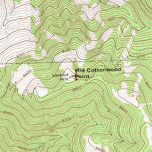 Topographic Map of Mid Cottonwood Point, ID
