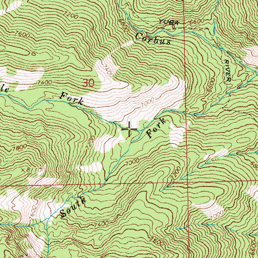 Topographic Map of Middle Fork Corbus Creek, ID