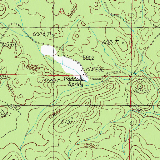 Topographic Map of Paddock Spring, AZ