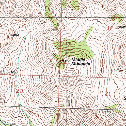 Topographic Map of Middle Mountain, ID