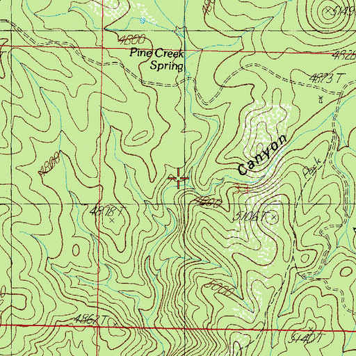 Topographic Map of Pine Canyon, AZ