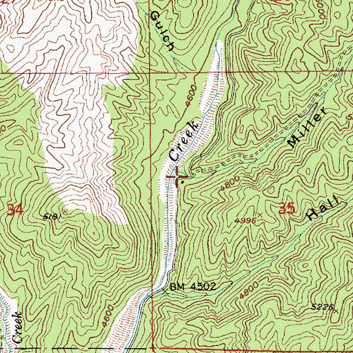 Topographic Map of Miller Gulch, ID