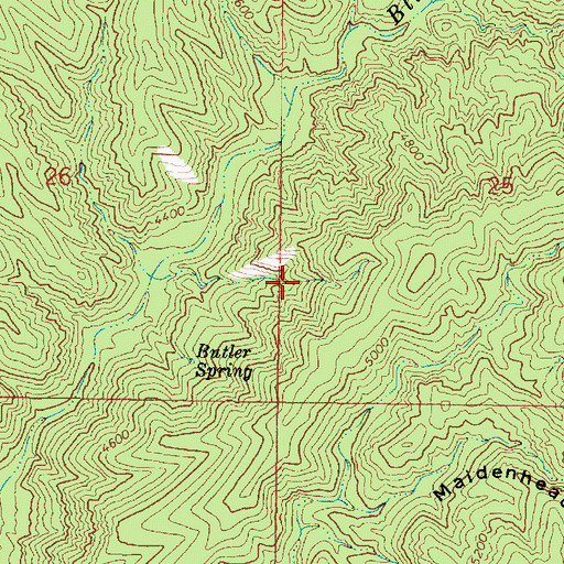 Topographic Map of Pine Spring, AZ