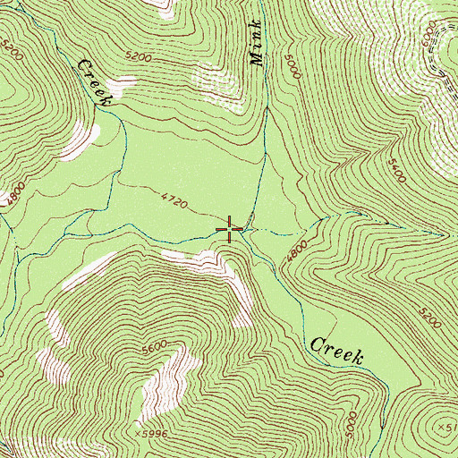 Topographic Map of Mink Creek, ID