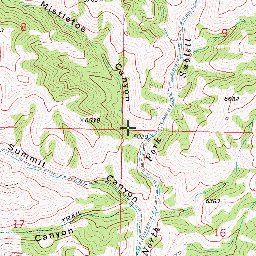 Topographic Map of Mistletoe Canyon, ID